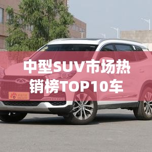 公司简介 第118页