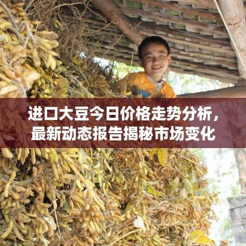 穷鸟入怀 第2页