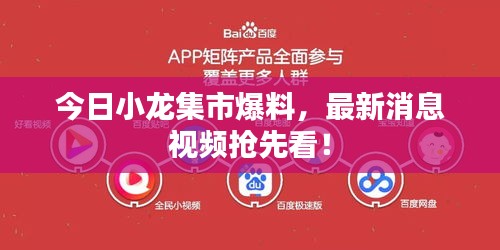 今日小龙集市爆料，最新消息视频抢先看！
