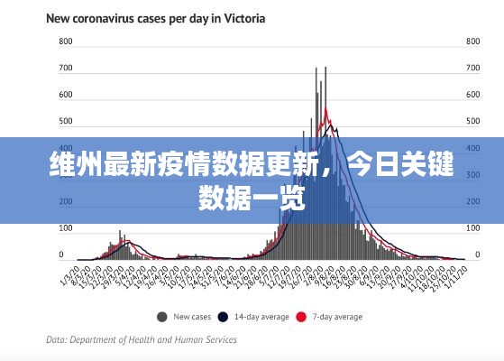 维州最新疫情数据更新，今日关键数据一览
