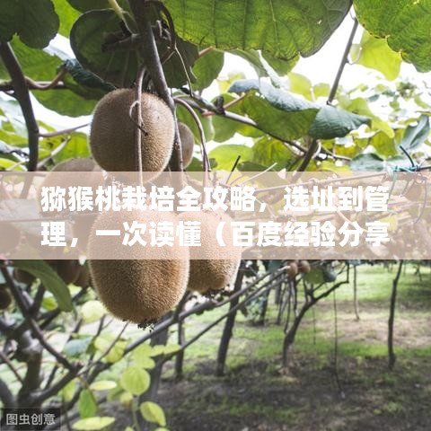 雍容典雅 第2页