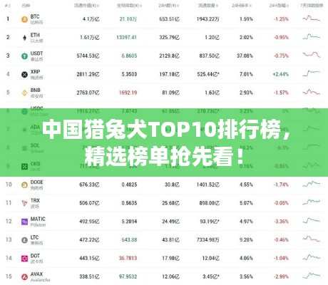 中国猎兔犬TOP10排行榜，精选榜单抢先看！