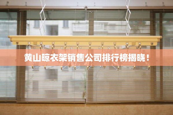 黄山晾衣架销售公司排行榜揭晓！