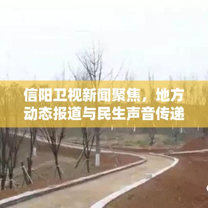 倦鸟知还 第2页