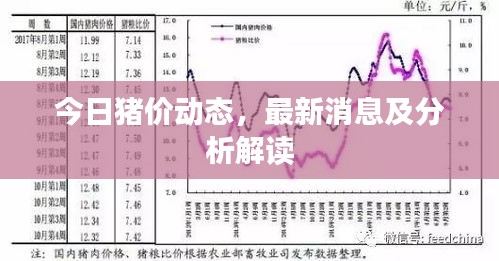 飞来横祸 第2页