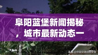 阜阳蓝堡新闻揭秘，城市最新动态一网打尽