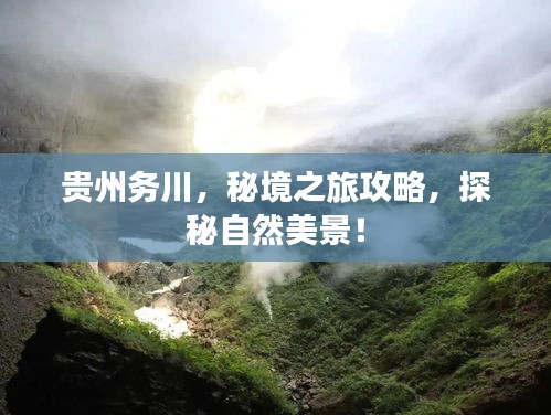 还朴反古 第2页