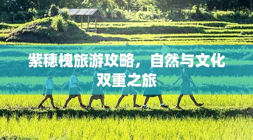 联系我们 第59页