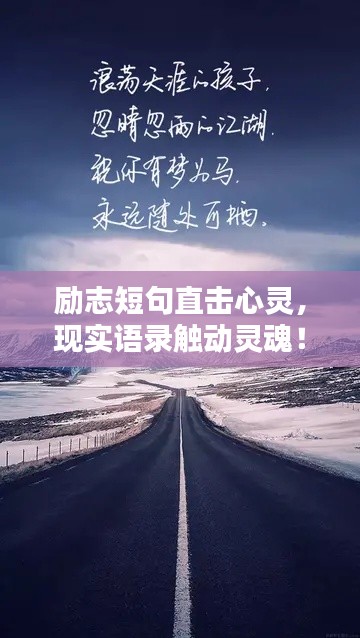 新闻中心 第43页