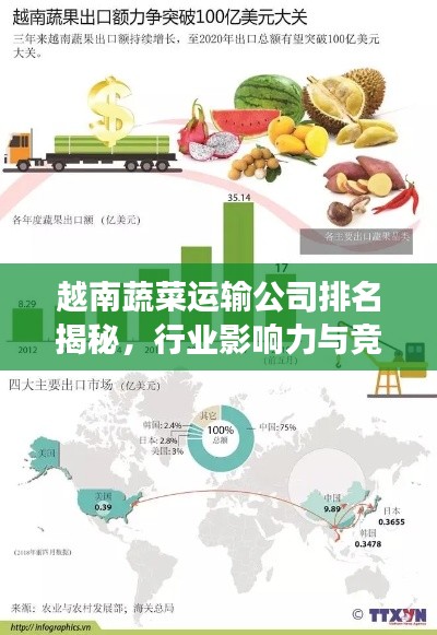 越南蔬菜运输公司排名揭秘，行业影响力与竞争力分析
