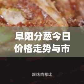 阜阳分葱今日价格走势与市场深度解析