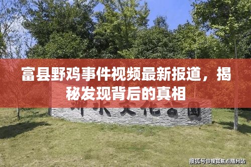 富县野鸡事件视频最新报道，揭秘发现背后的真相