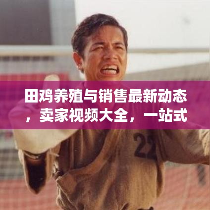 越鸟南栖