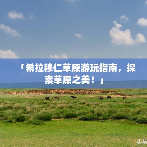 2025年4月 第114页