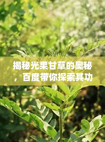 坐井观天