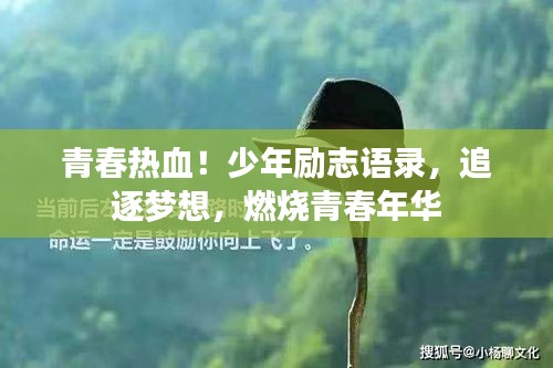 青春热血！少年励志语录，追逐梦想，燃烧青春年华