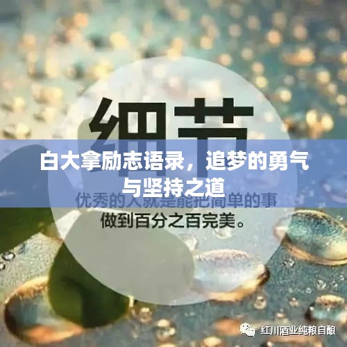 白大拿励志语录，追梦的勇气与坚持之道