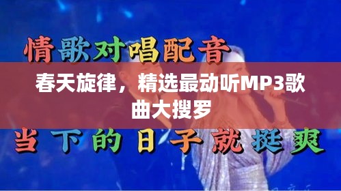 春天旋律，精选最动听MP3歌曲大搜罗