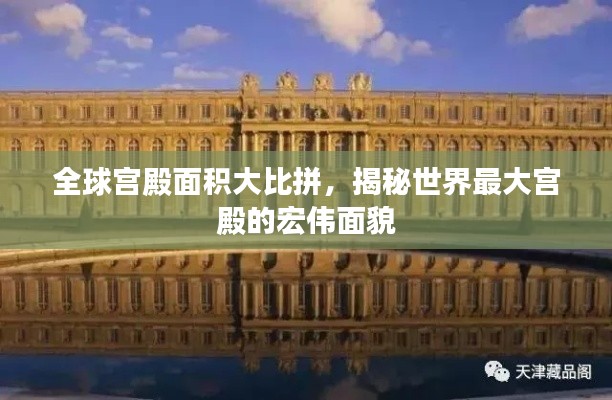 全神贯注