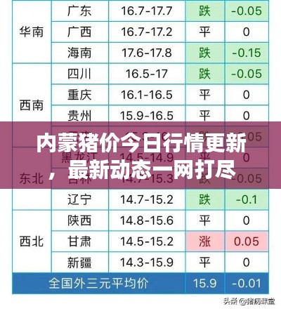 联系我们 第19页