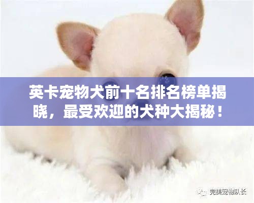娇小玲珑