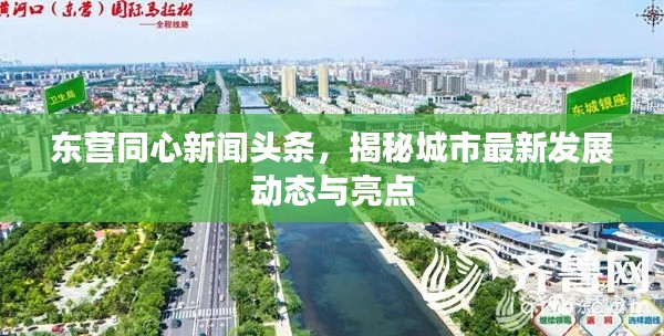 东营同心新闻头条，揭秘城市最新发展动态与亮点