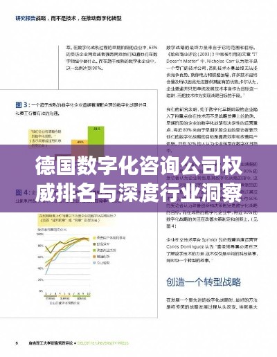 德国数字化咨询公司权威排名与深度行业洞察揭秘