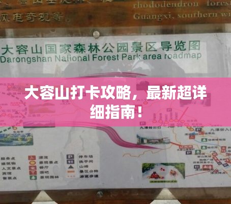 金石为开