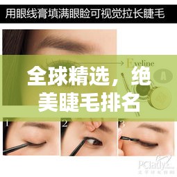笨鸟先飞