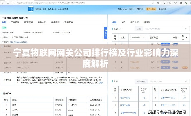 宁夏物联网网关公司排行榜及行业影响力深度解析