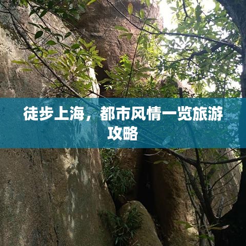 人前显贵