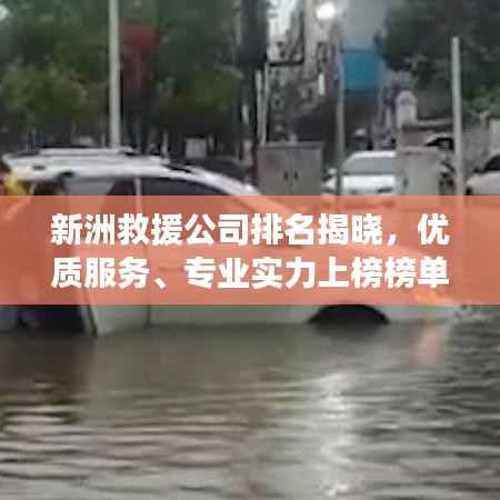 六鹢退飞