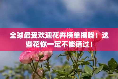 食淡衣粗