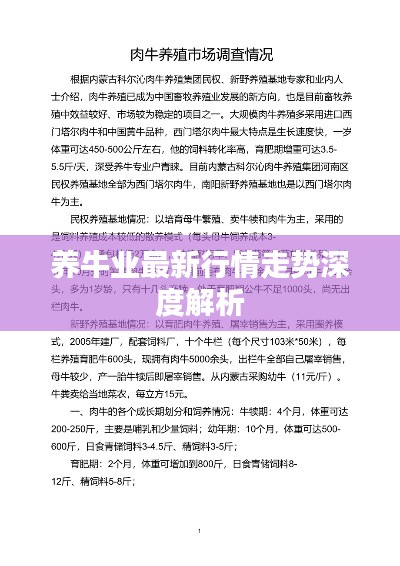 公司简介 第6页