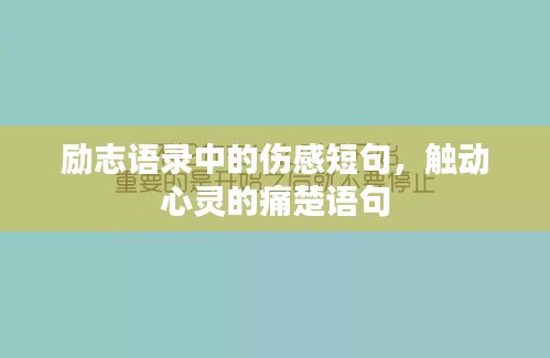 联系我们 第5页