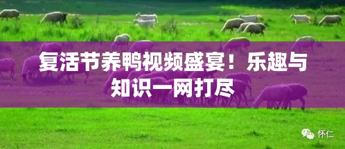 凤毛麟角