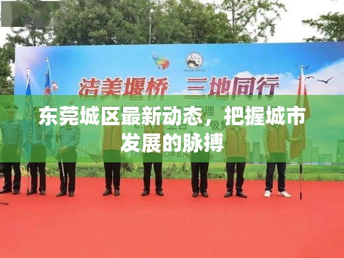 东莞城区最新动态，把握城市发展的脉搏
