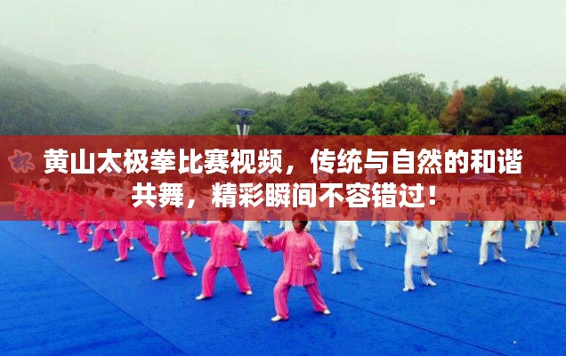 黄山太极拳比赛视频，传统与自然的和谐共舞，精彩瞬间不容错过！