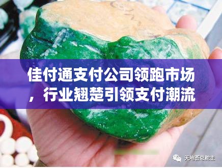 佳付通支付公司领跑市场，行业翘楚引领支付潮流排名揭秘