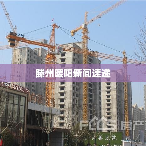 滕州暖阳新闻速递