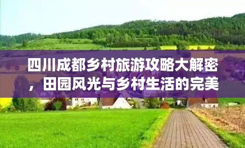 四川成都乡村旅游攻略大解密，田园风光与乡村生活的完美体验