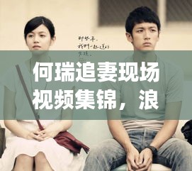 何瑞追妻现场视频集锦，浪漫追逐与真挚情感的碰撞瞬间