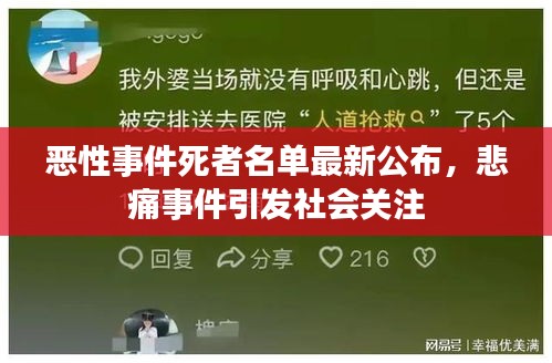 恶性事件死者名单最新公布，悲痛事件引发社会关注