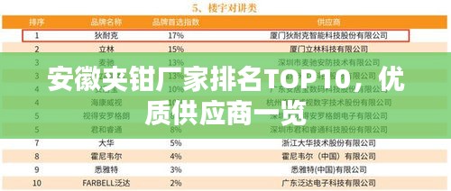 安徽夹钳厂家排名TOP10，优质供应商一览