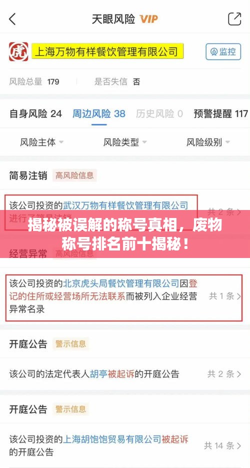 揭秘被误解的称号真相，废物称号排名前十揭秘！