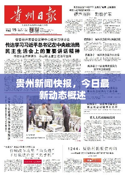 贵州新闻快报，今日最新动态概述