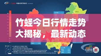 贵险贱璧