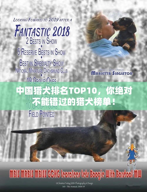 2025年6月 第5页