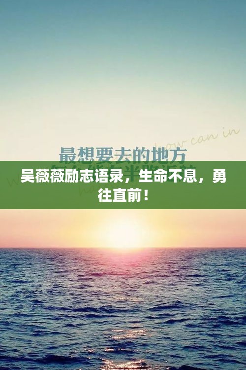 2025年6月