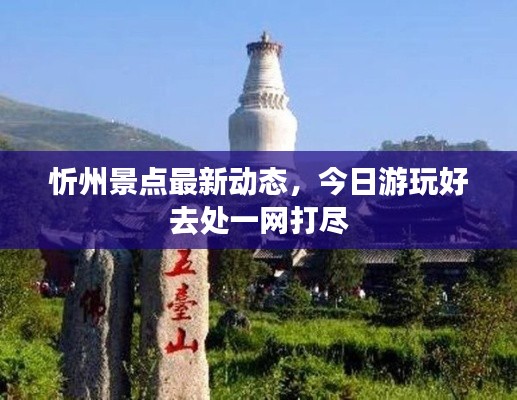 2025年1月 第74页